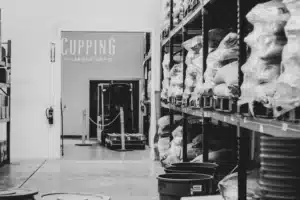 supplier vetting